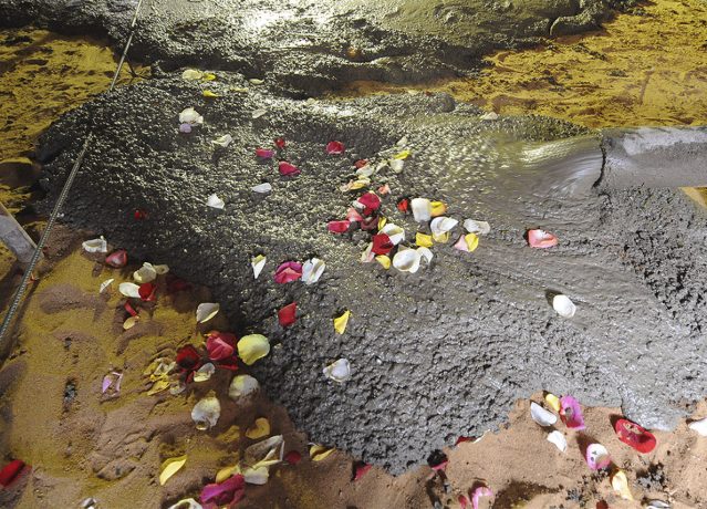 The whole foundation of the building was sprinkled with petals, consecrated on the relics of the Holy Blessed Matrona of Moscow