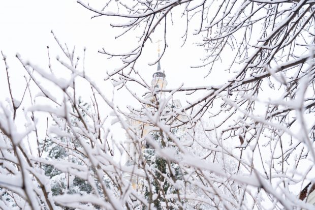 С началом Великого поста, дорогие гости!