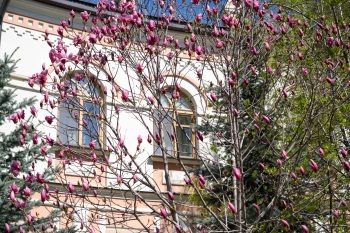 Весна в гостинице