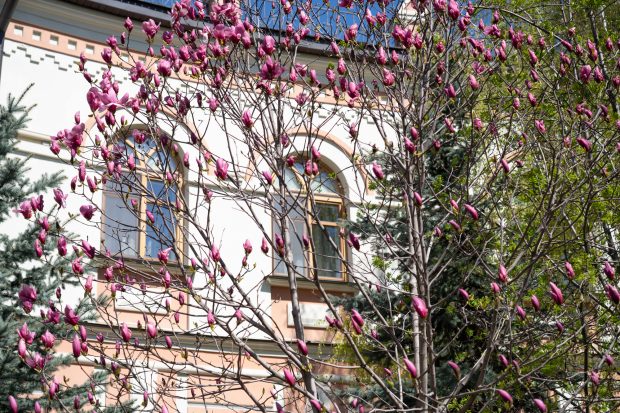 Весна в гостинице